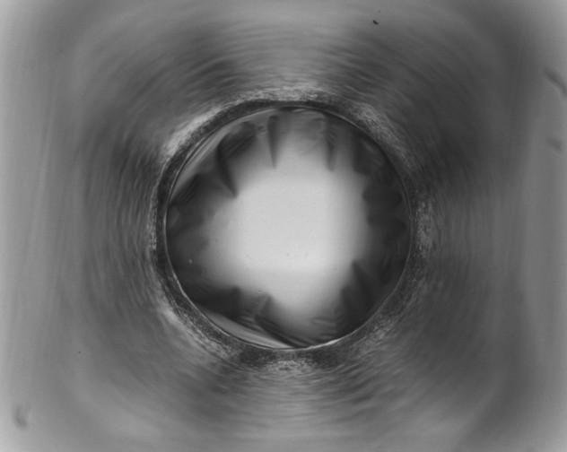 X0000100880536200807071129