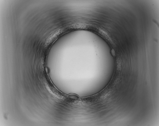 X0000100880538200807071129