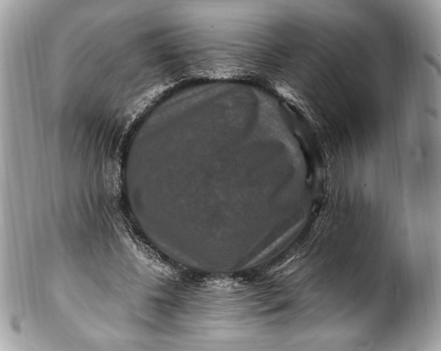 X0000100880540200807071129