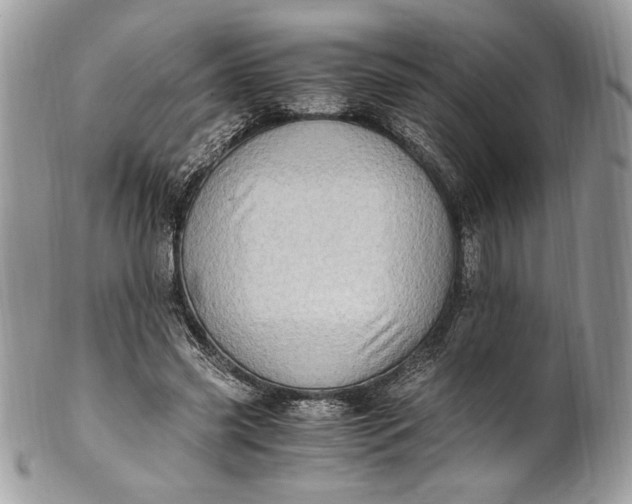 X0000100880541200807071129