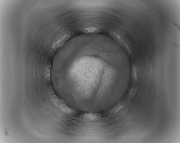 X0000100880545200807071129