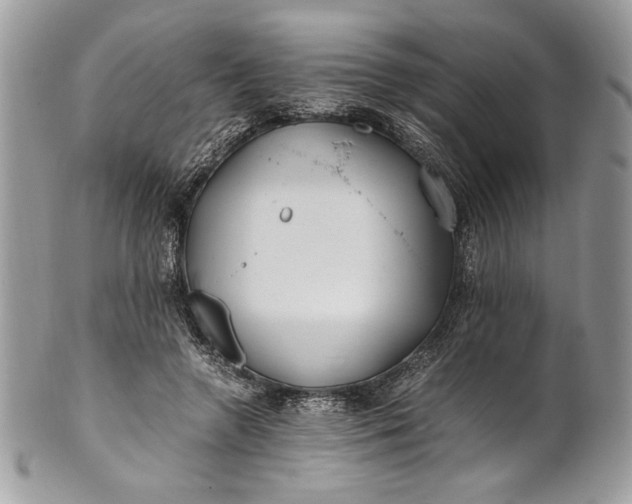 X0000100880546200807071129