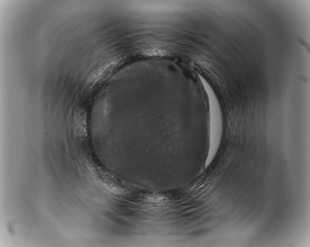 X0000100880547200807071129