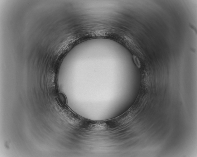 X0000100880548200807071129