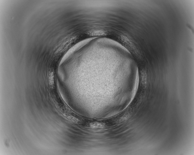 X0000100880549200807071129