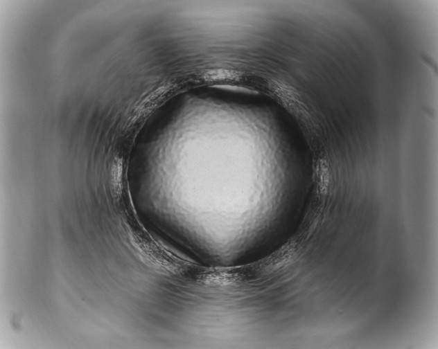 X0000100880550200807071129