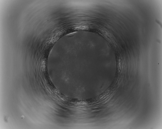 X0000100880551200807071129