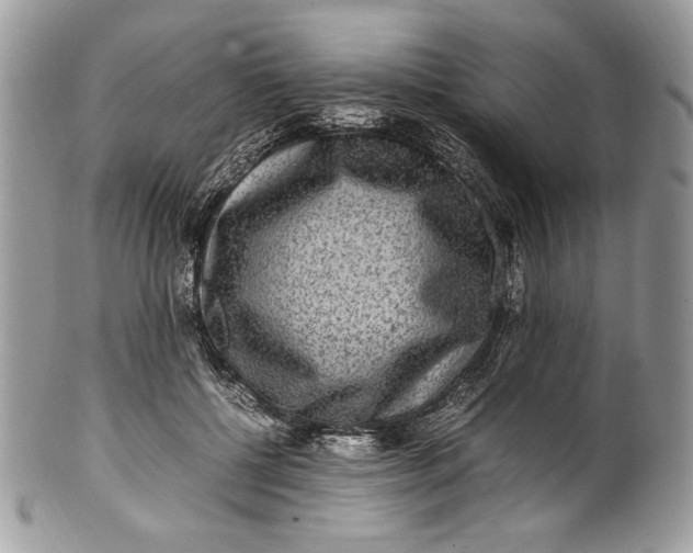 X0000100880552200807071129