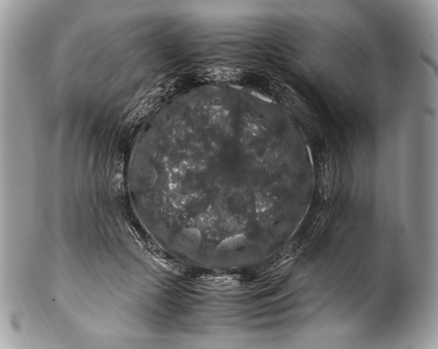 X0000100880553200807071129