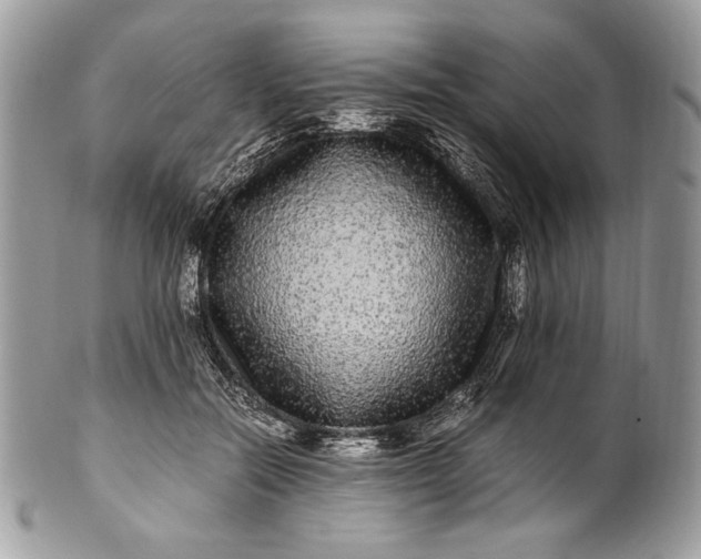 X0000100880554200807071129