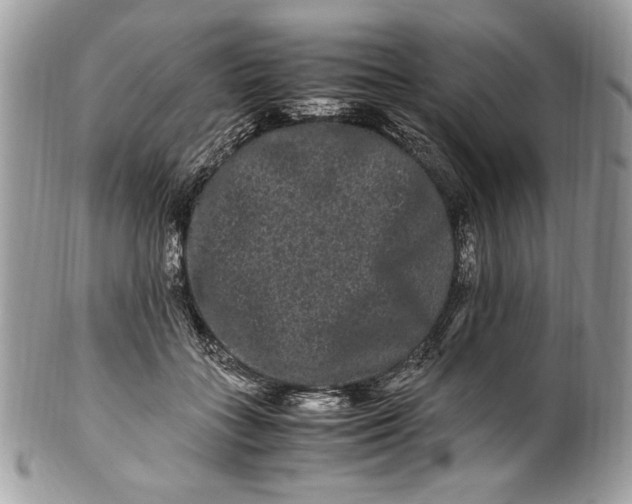 X0000100880555200807071129