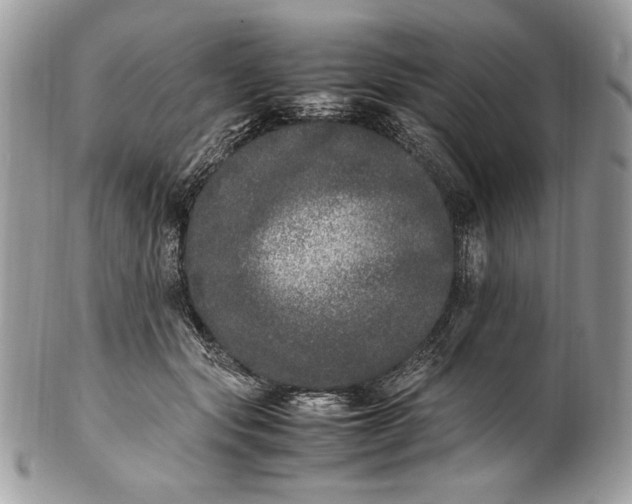 X0000100880557200807071129