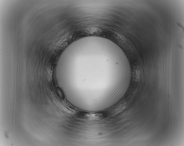 X0000100880558200807071129