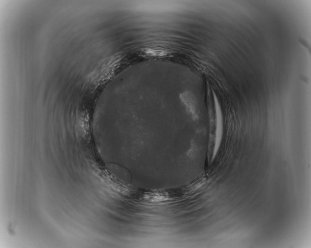 X0000100880559200807071129