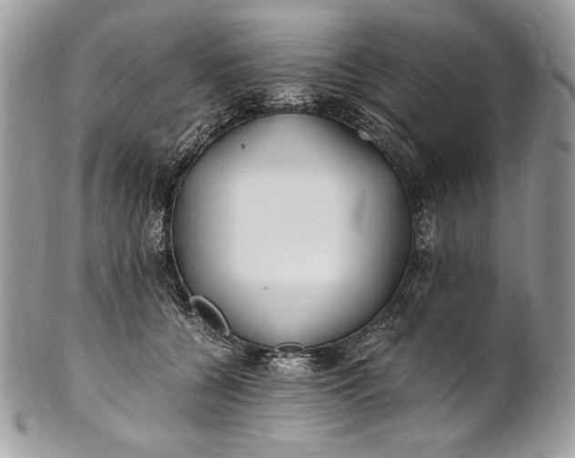 X0000100880560200807071129