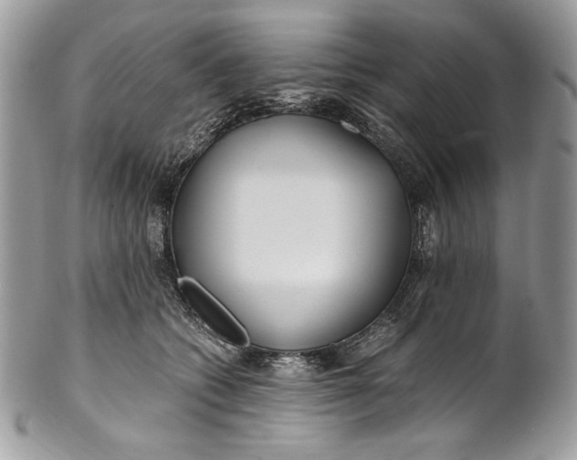 X0000100880562200807071129