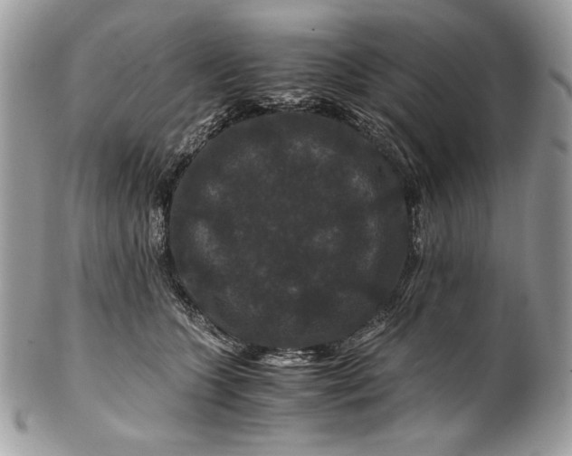 X0000100880563200807071129