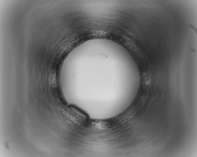 X0000100880564200807071129