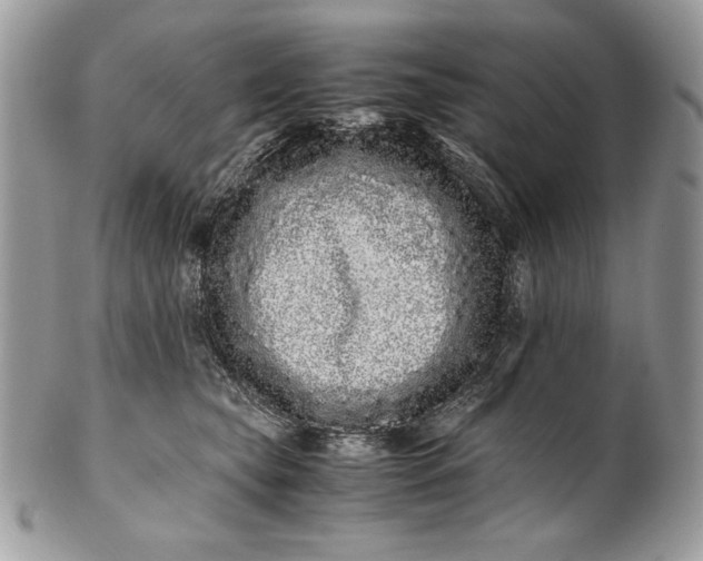 X0000100880565200807071129