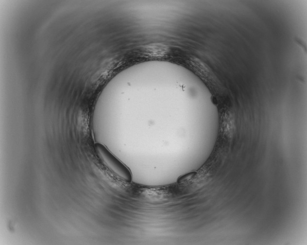 X0000100880568200807071129