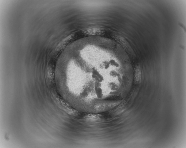 X0000100880569200807071129