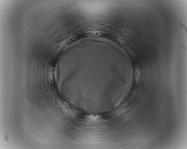 X0000100880570200807071129