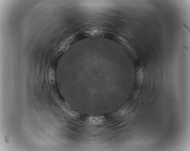 X0000100880571200807071129