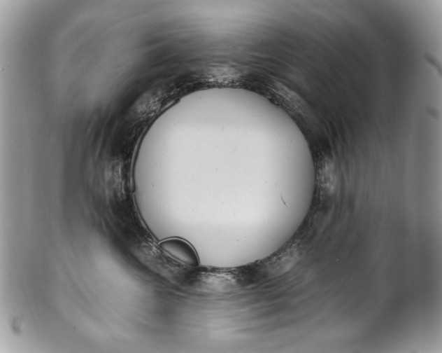 X0000100880572200807071129