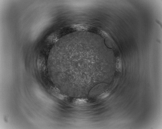 X0000100880573200807071129