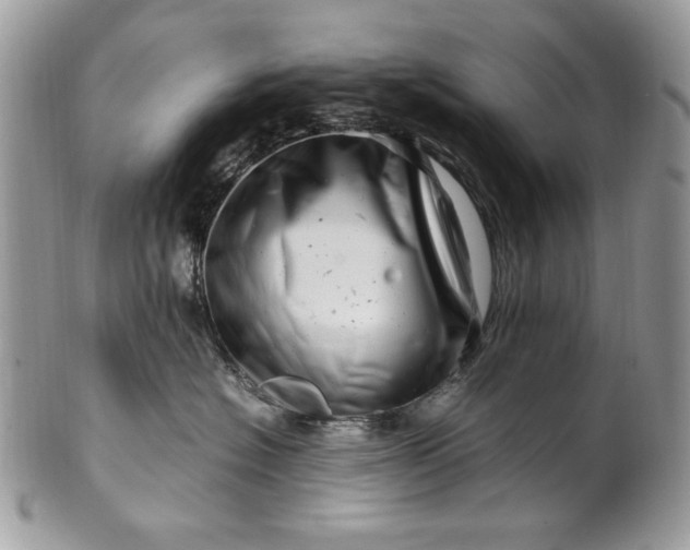 X0000100880574200807071129