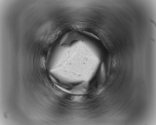 X0000100880575200807071129