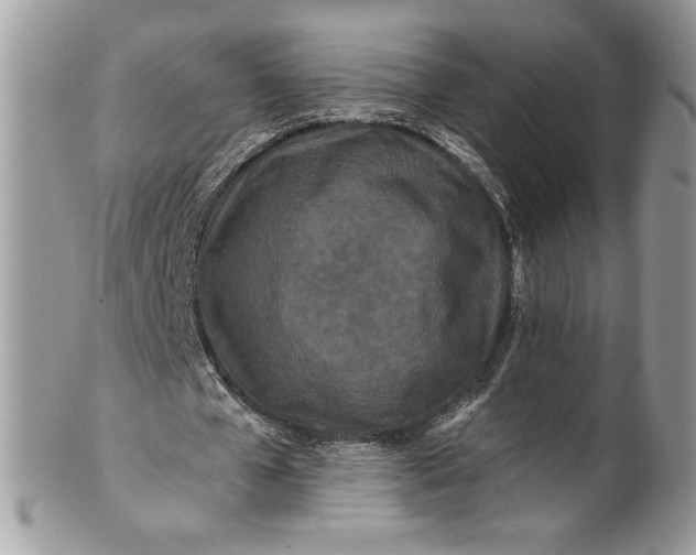 X0000100880577200807071128