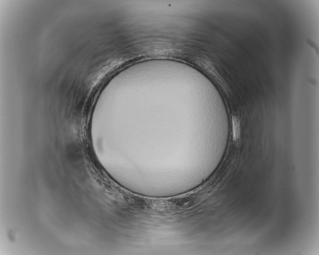 X0000100880579200807071128