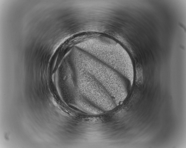 X0000100880580200807071128