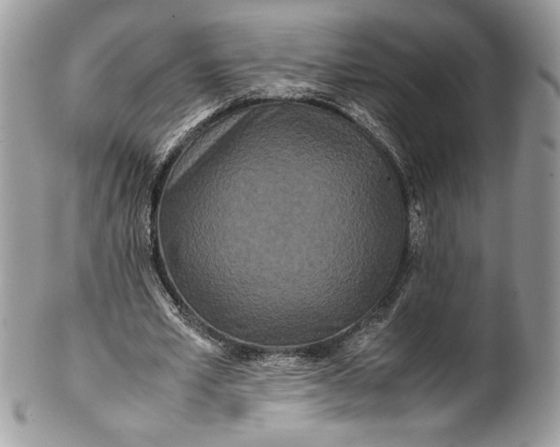 X0000100880581200807071128