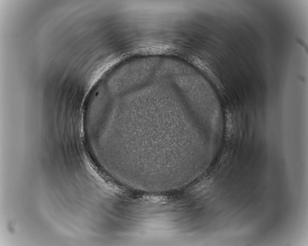 X0000100880582200807071128