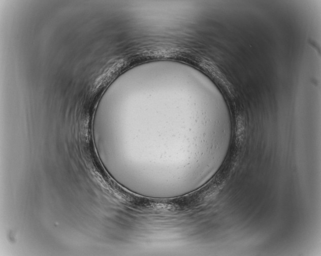 X0000100880585200807071128