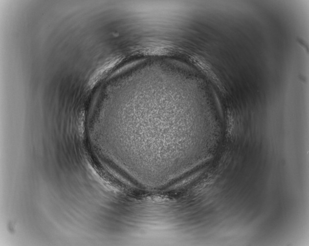 X0000100880586200807071128