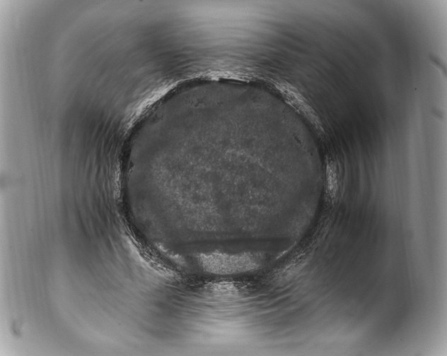 X0000100880588200807071128