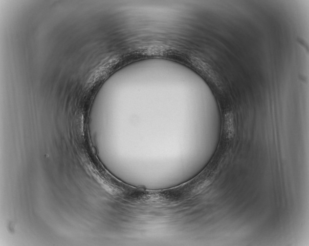 X0000100880589200807071128