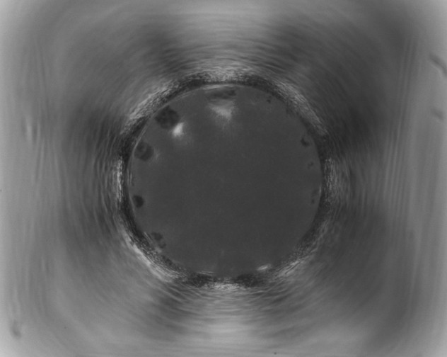 X0000100880590200807071128