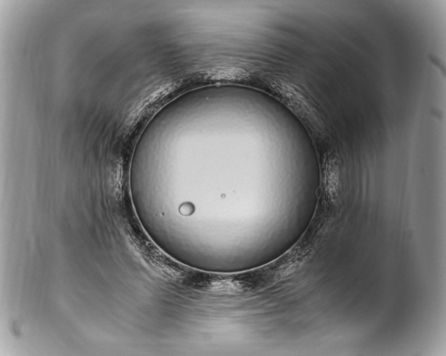 X0000100880591200807071128