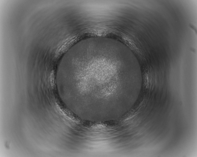 X0000100880594200807071128