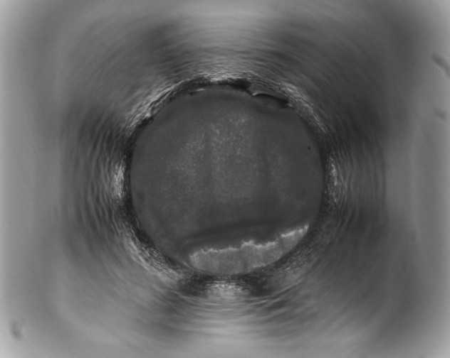 X0000100880596200807071128