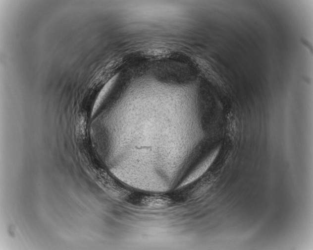 X0000100880597200807071128