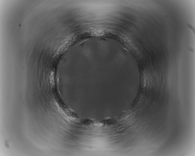 X0000100880598200807071128