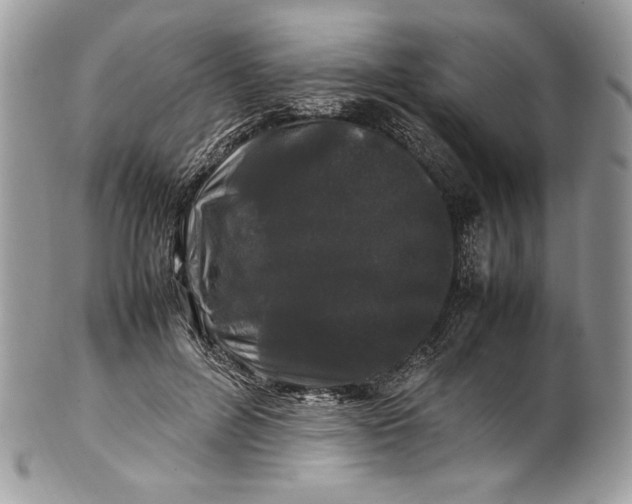 X0000100880600200807071128