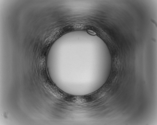 X0000100880601200807071128