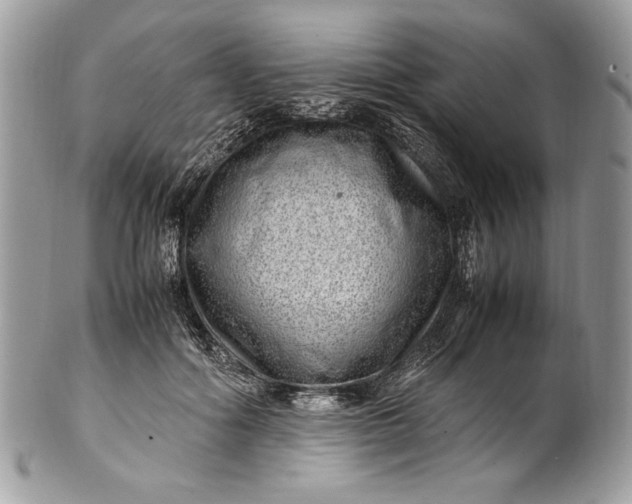 X0000100880602200807071128