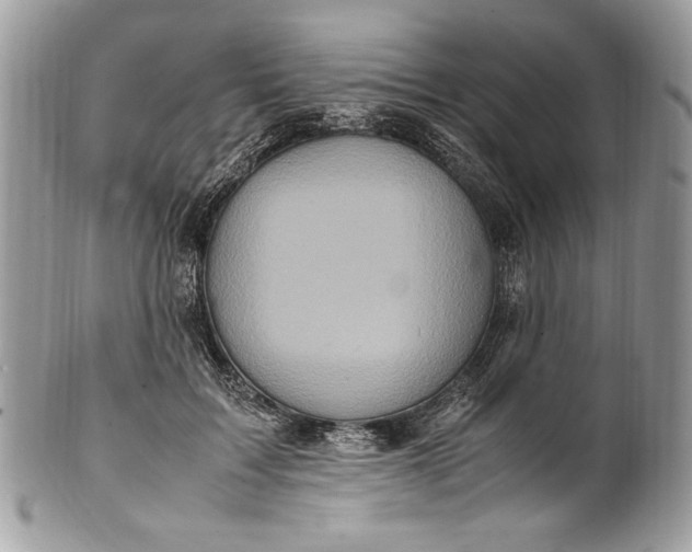 X0000100880603200807071128